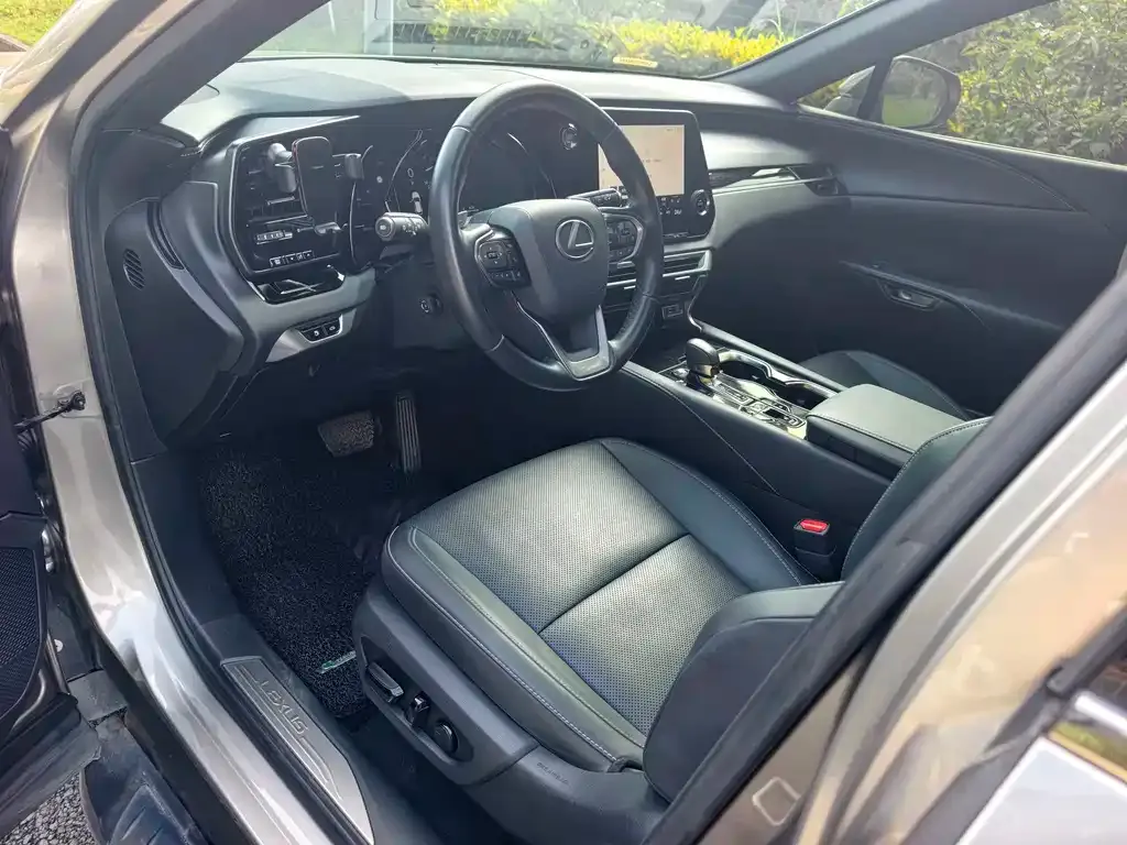 Lexus RX — фото 10