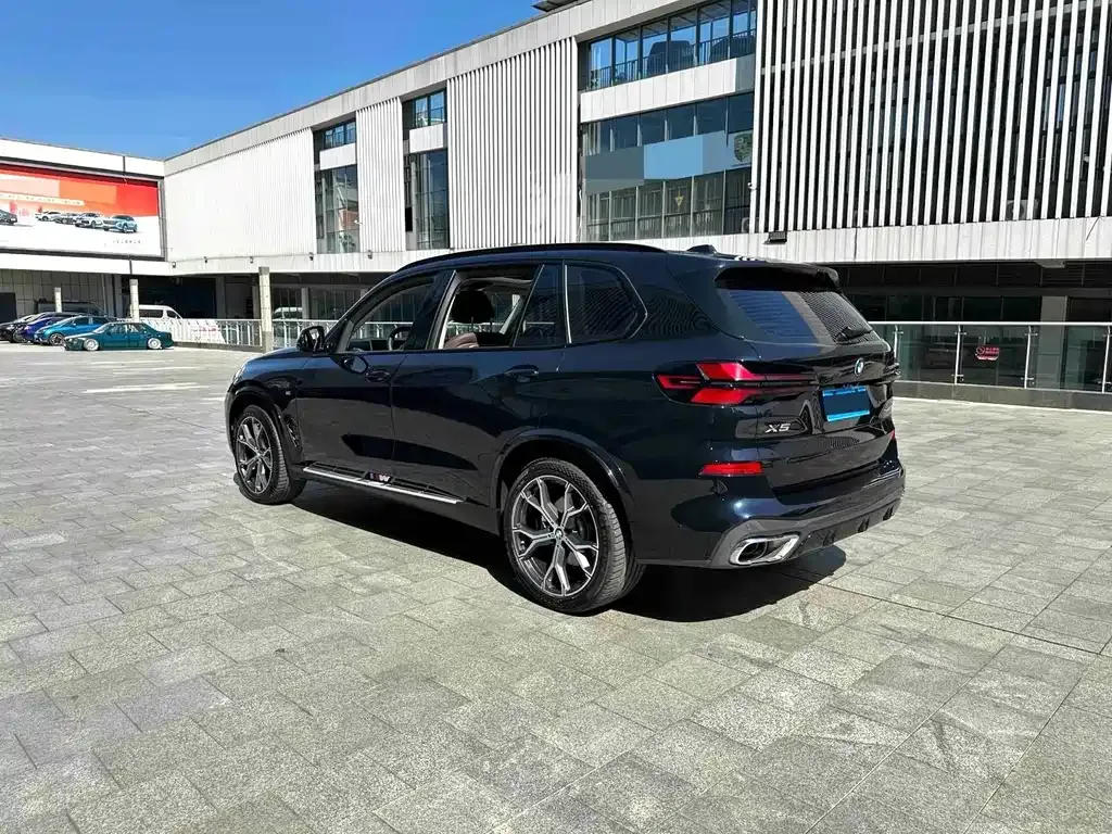 BMW X5 — фото 5