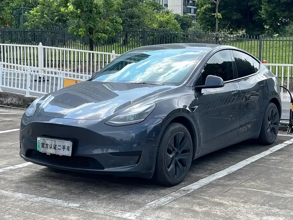Tesla Model Y — фото 1