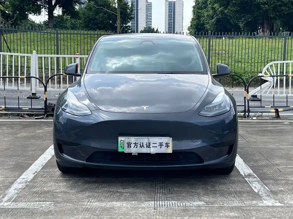 Tesla Model Y — фото 9