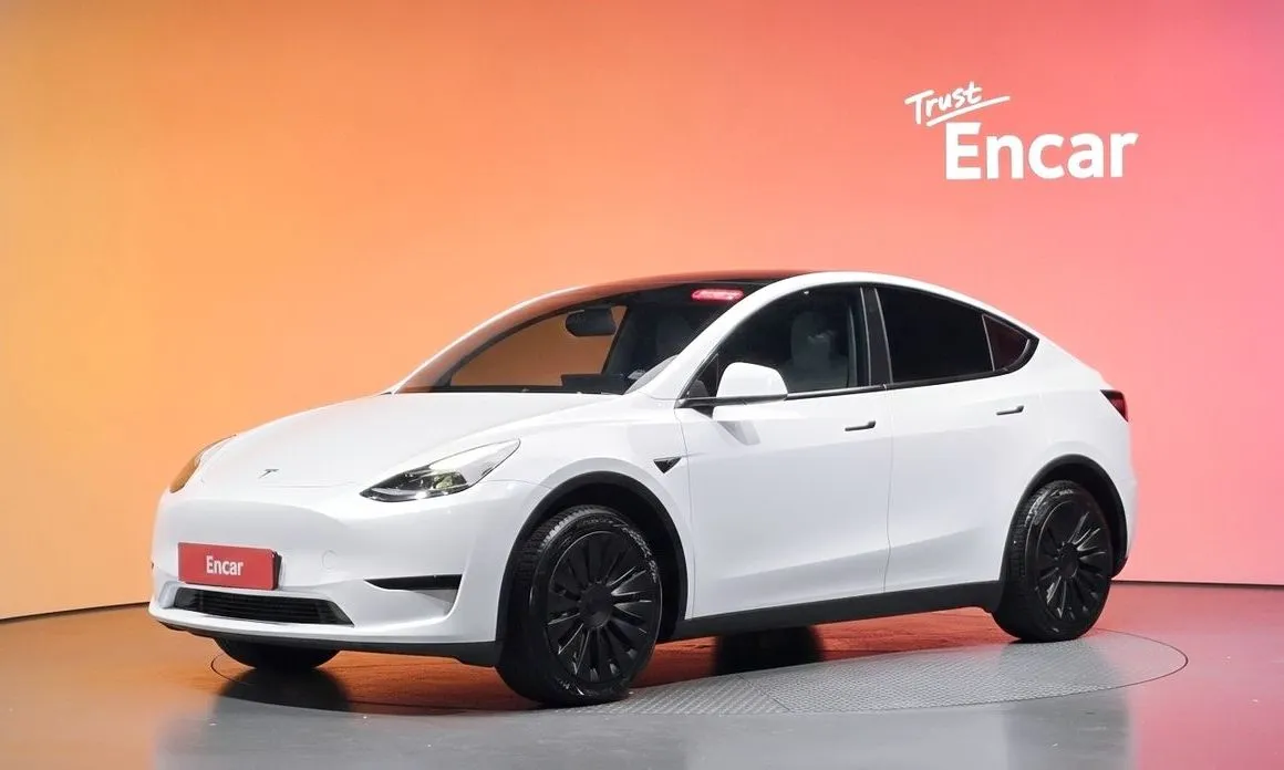 Tesla Model Y — фото 1