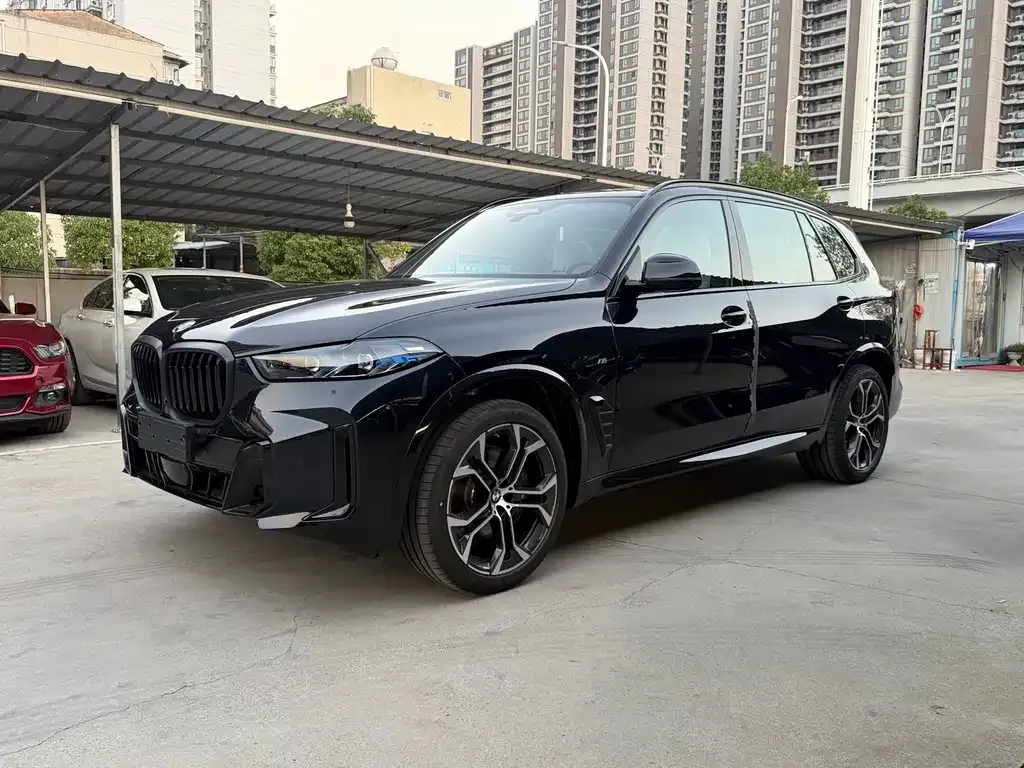 BMW X5 — фото 1