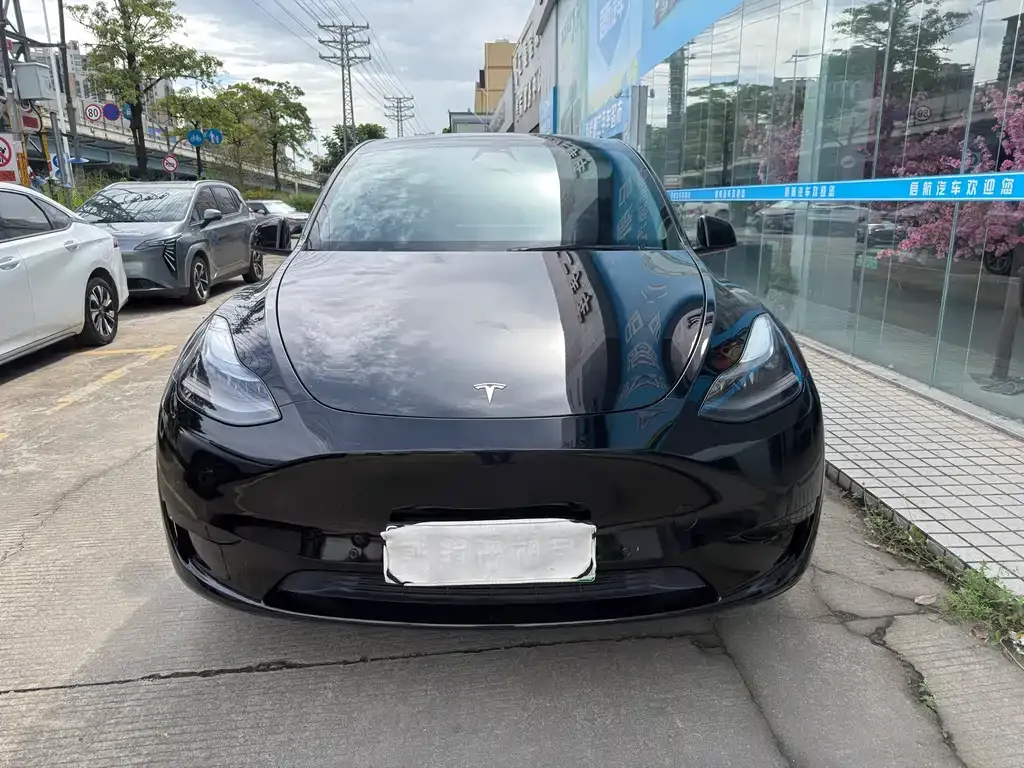 Tesla Model Y — фото 10