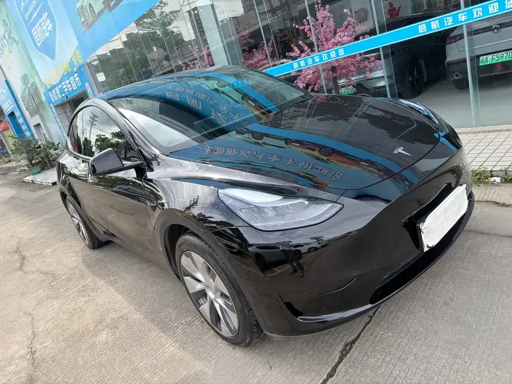 Tesla Model Y — фото 8