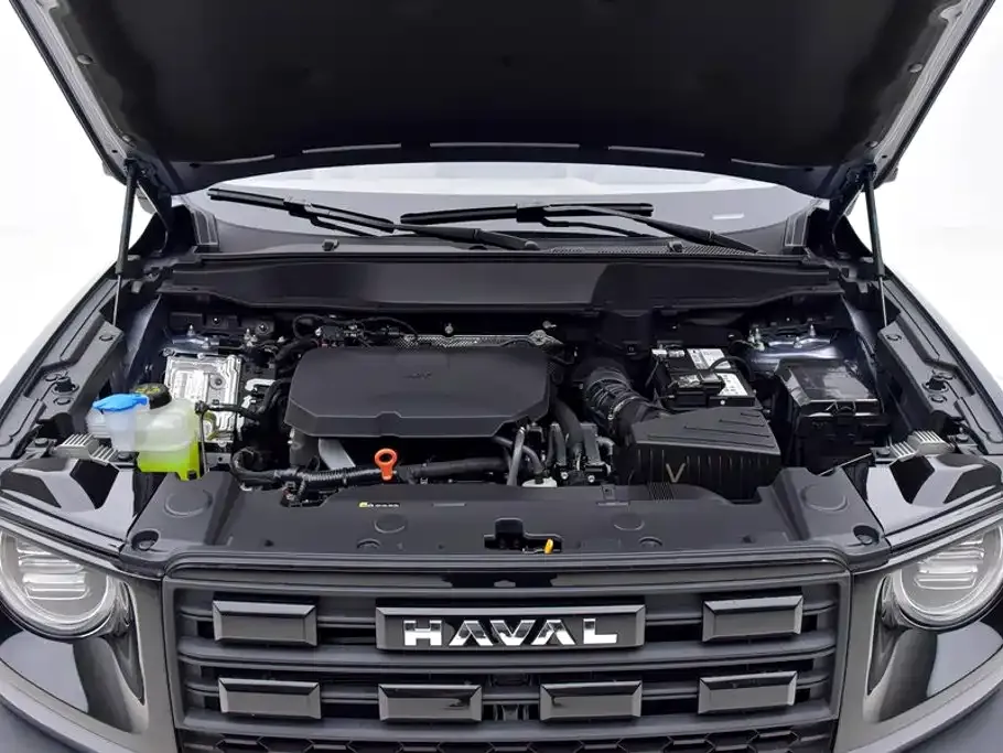 Haval Big Dog — фото 6