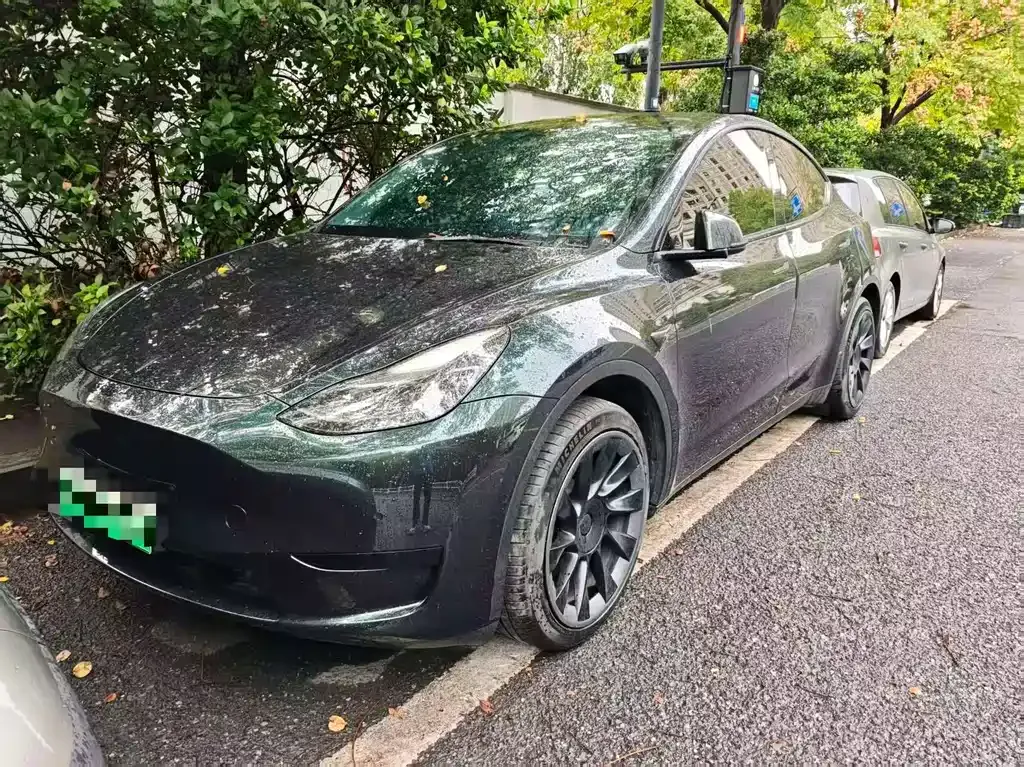Tesla Model Y — фото 1