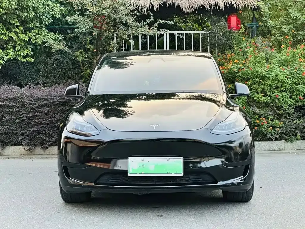 Tesla Model Y — фото 8