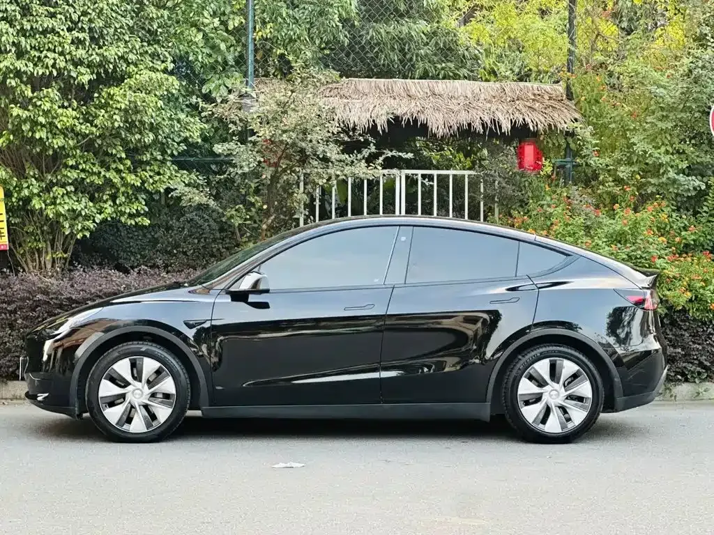 Tesla Model Y — фото 9