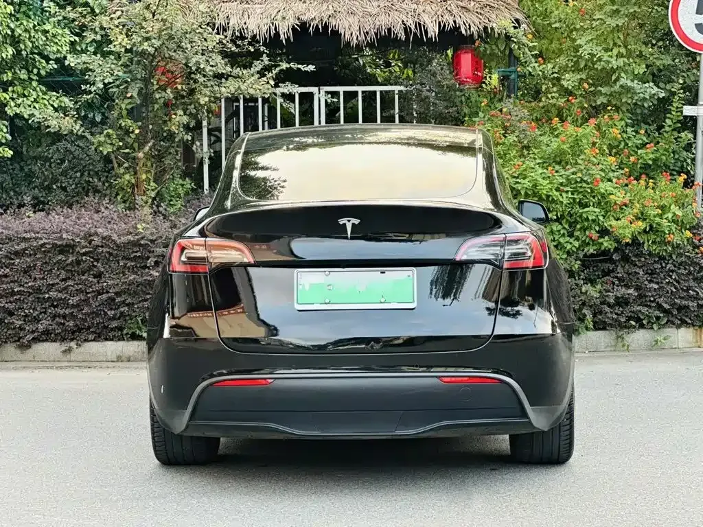 Tesla Model Y — фото 6