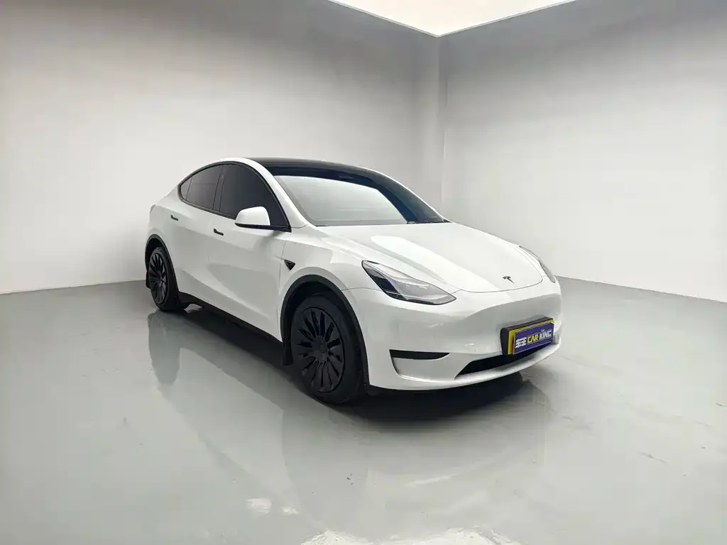 Tesla Model Y — фото 6