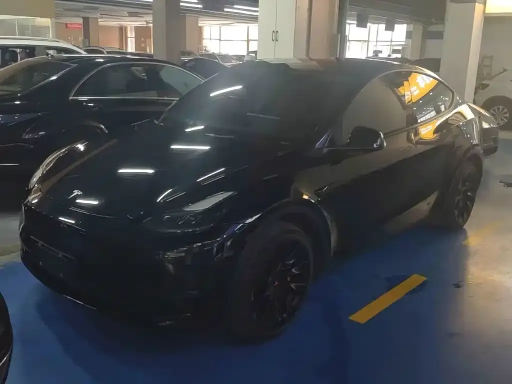 Tesla Model Y — фото 1