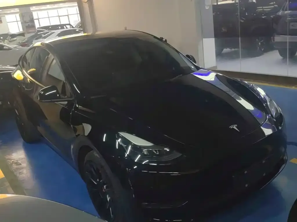 Tesla Model Y — фото 6