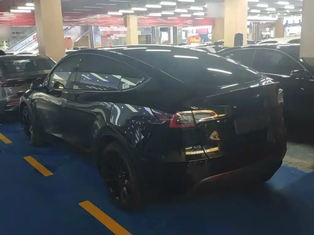 Tesla Model Y — фото 3