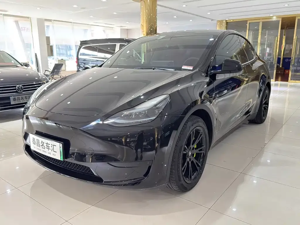 Tesla Model Y — фото 1