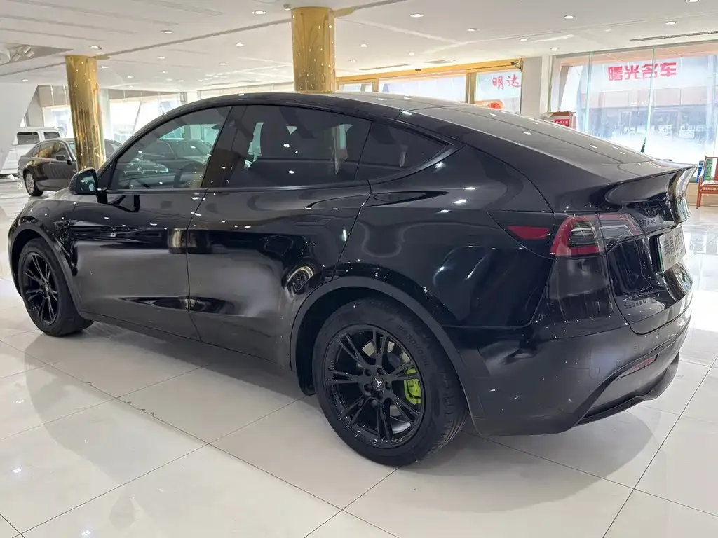 Tesla Model Y — фото 2