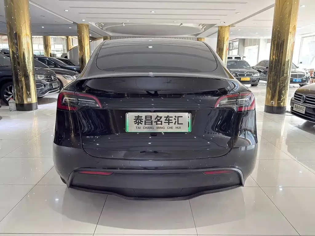 Tesla Model Y — фото 6