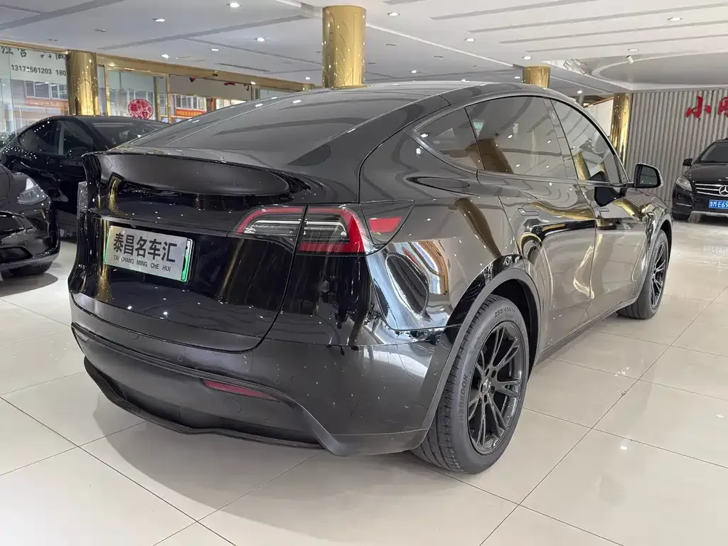 Tesla Model Y — фото 8