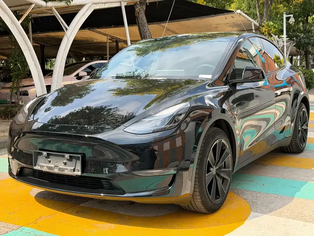 Tesla Model Y — фото 1