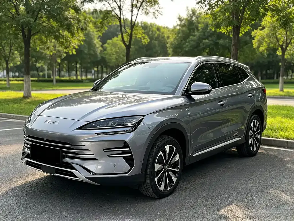 BYD PLUS New Energy — фото 1