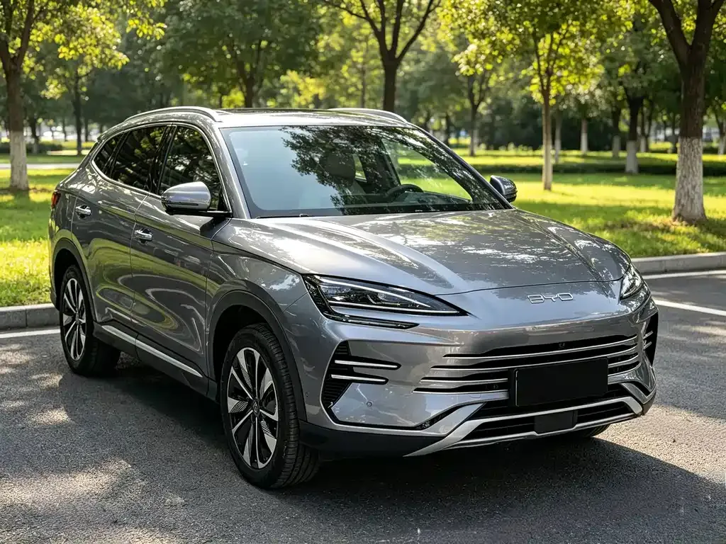 BYD PLUS New Energy — фото 4