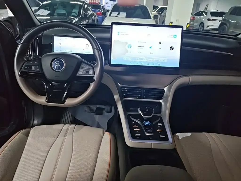 BYD Pro New Energy — фото 9