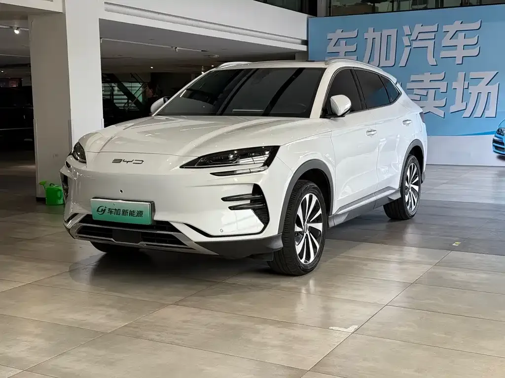 BYD PLUS New Energy — фото 1