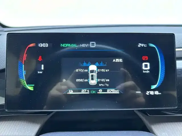 BYD Pro New Energy — фото 4