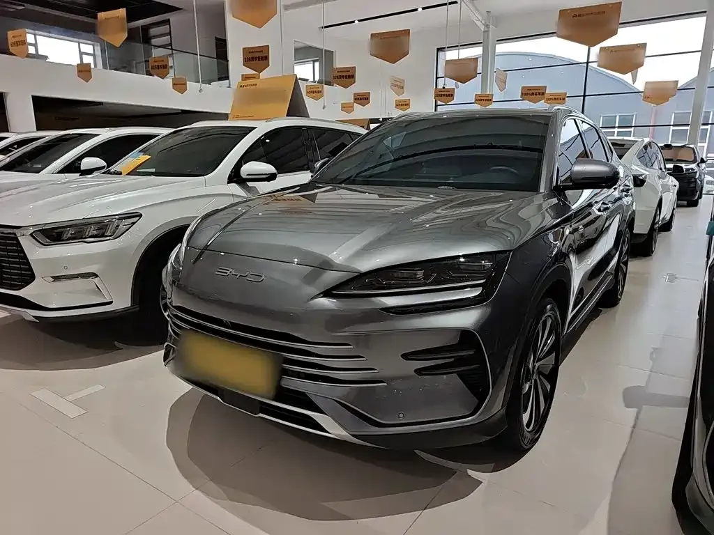 BYD PLUS New Energy — фото 1