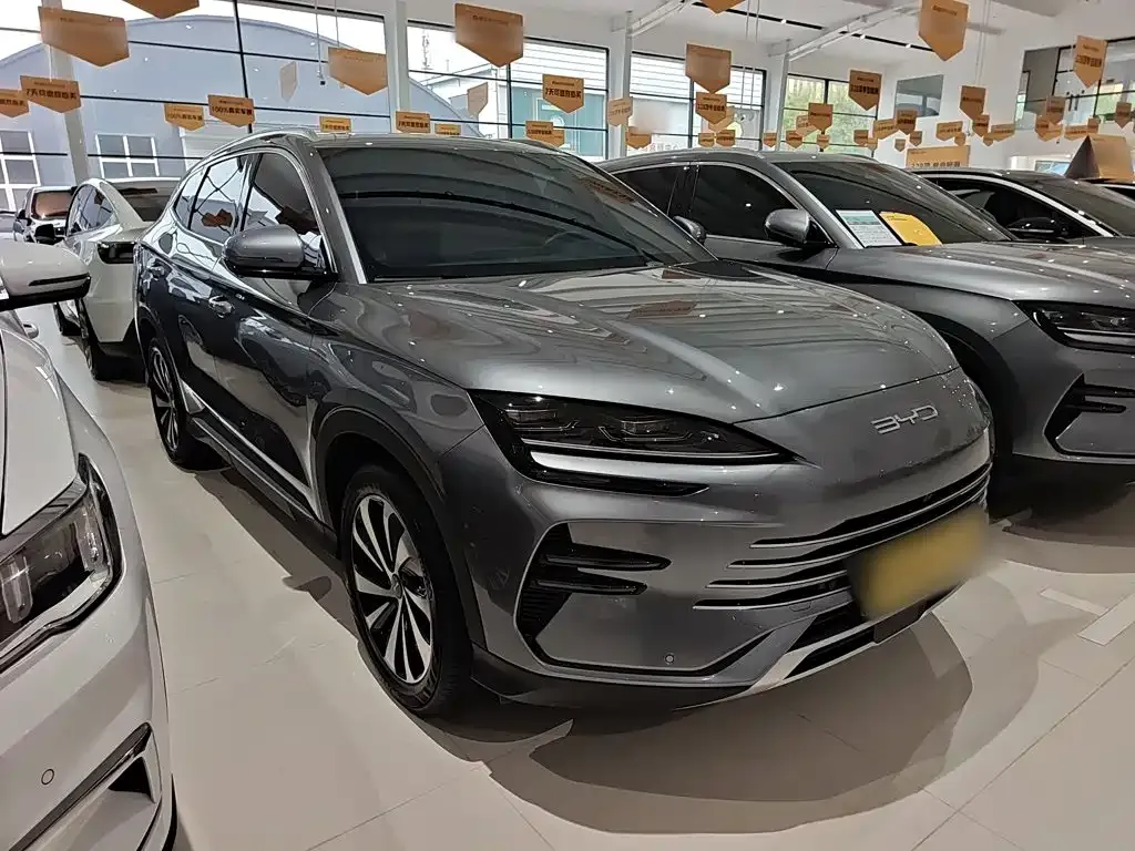 BYD PLUS New Energy — фото 4