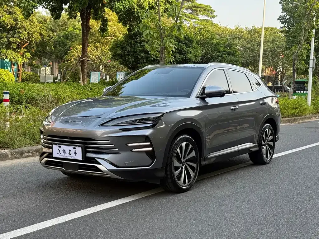 BYD PLUS New Energy — фото 1