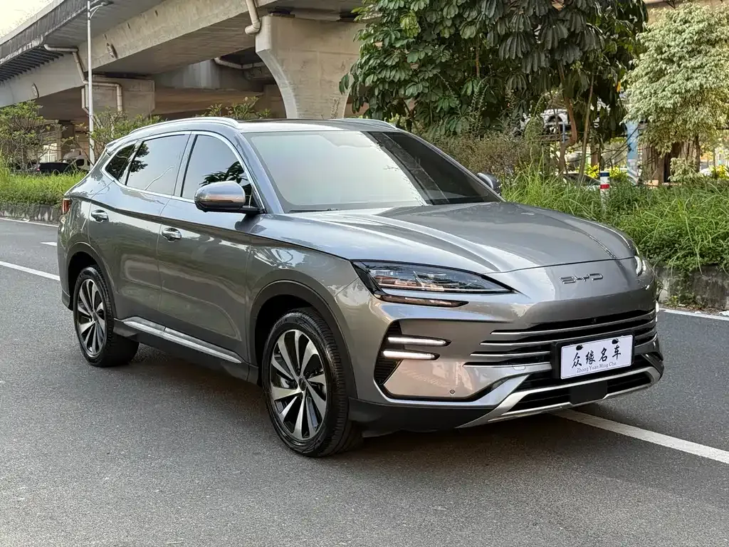 BYD PLUS New Energy — фото 7