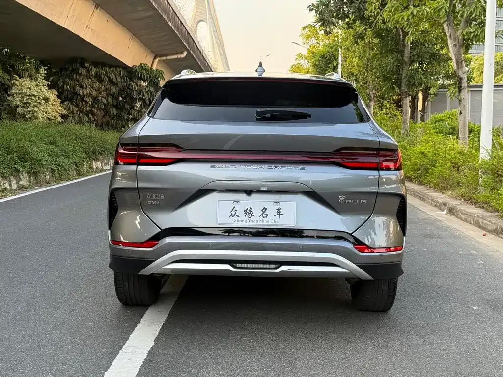 BYD PLUS New Energy — фото 8