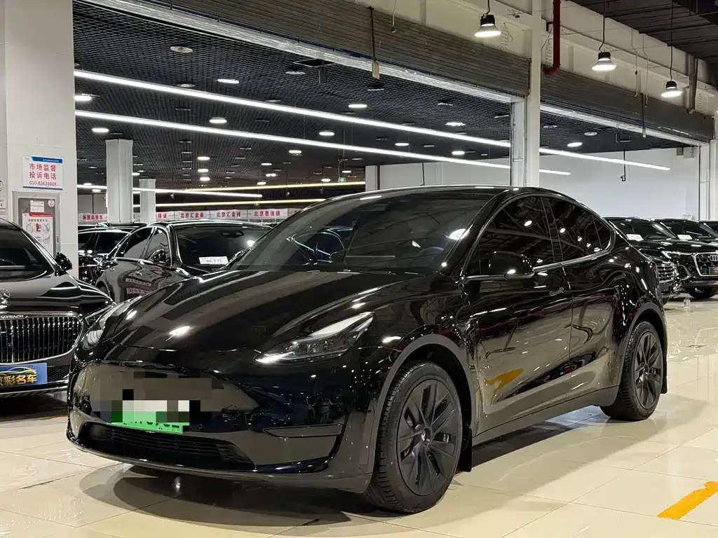 Tesla Model Y — фото 1