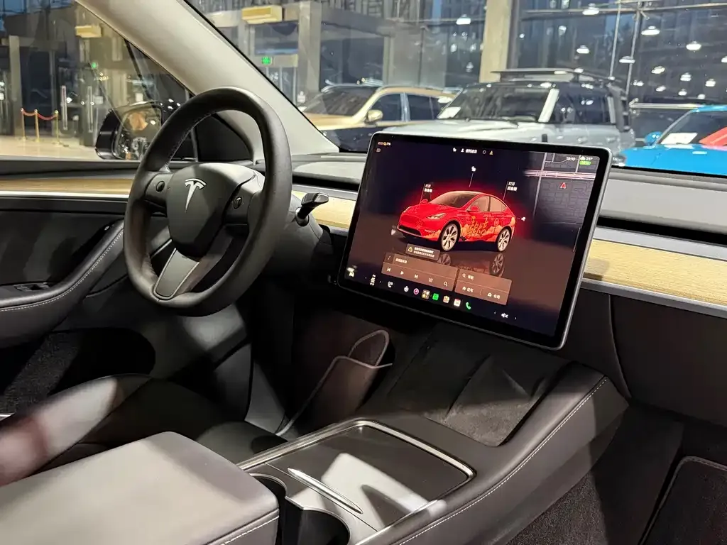 Tesla Model Y — фото 10