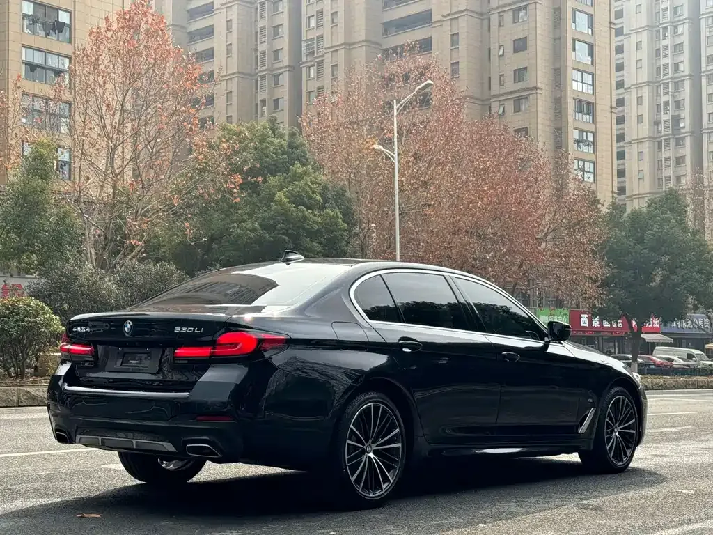 BMW 5 Series — фото 10