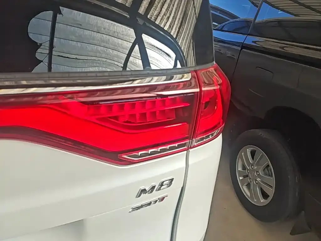 GAC Motor Trumpchi M8 — фото 9