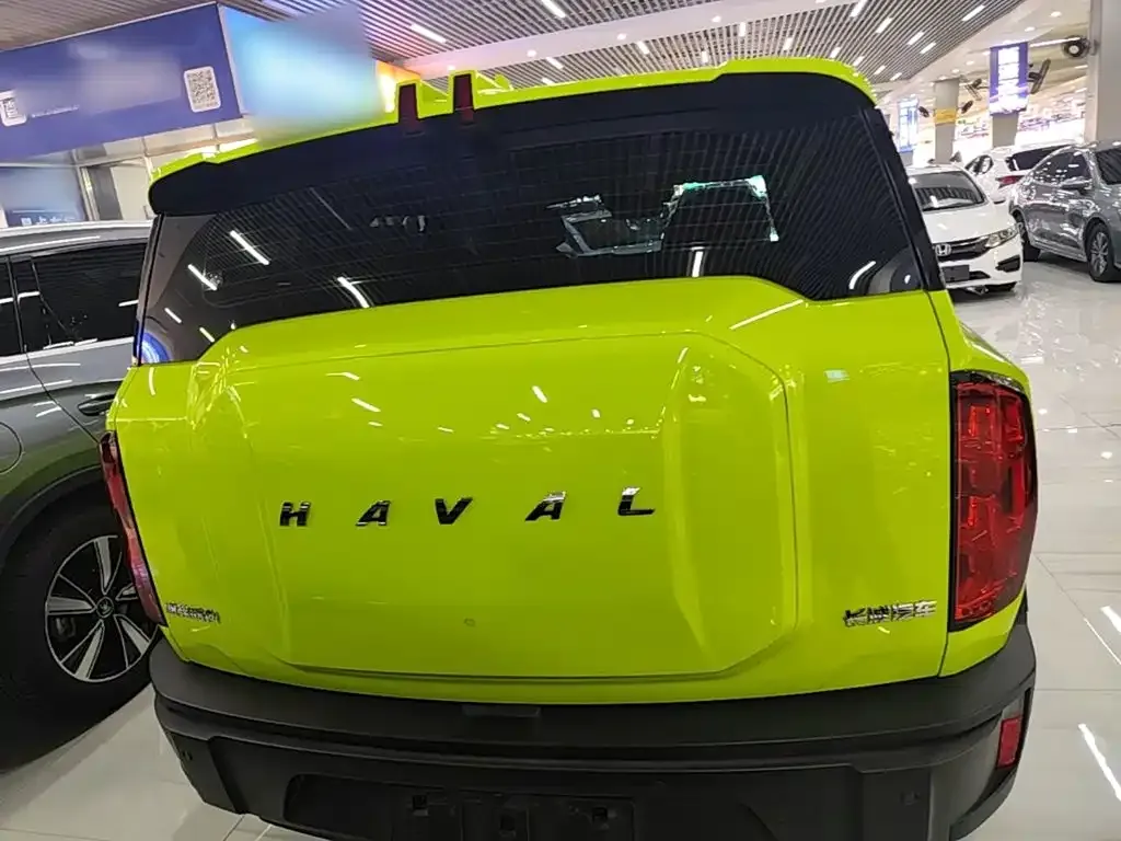 Haval Cool Dog — фото 10