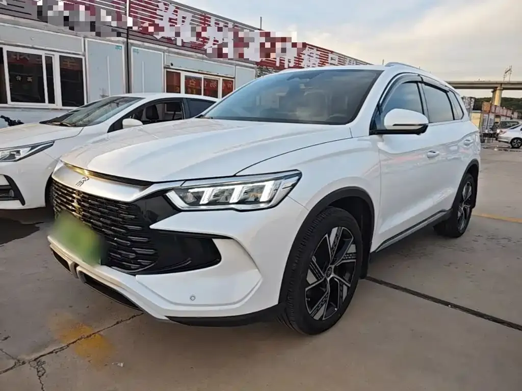 BYD Pro New Energy — фото 10