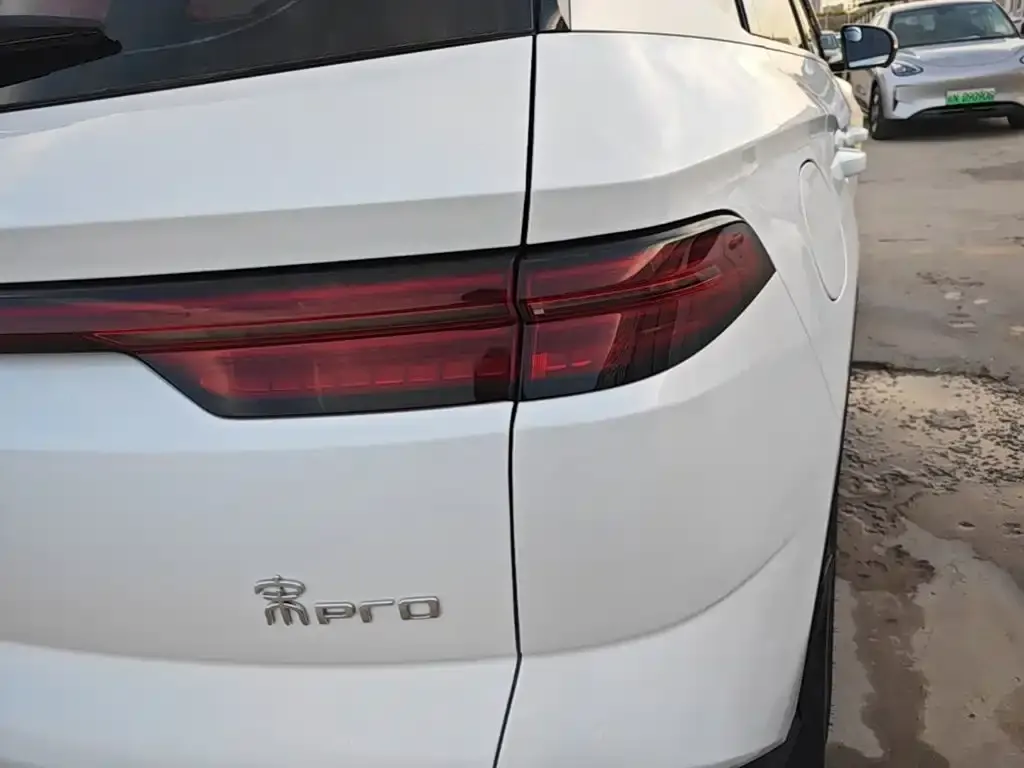 BYD Pro New Energy — фото 6