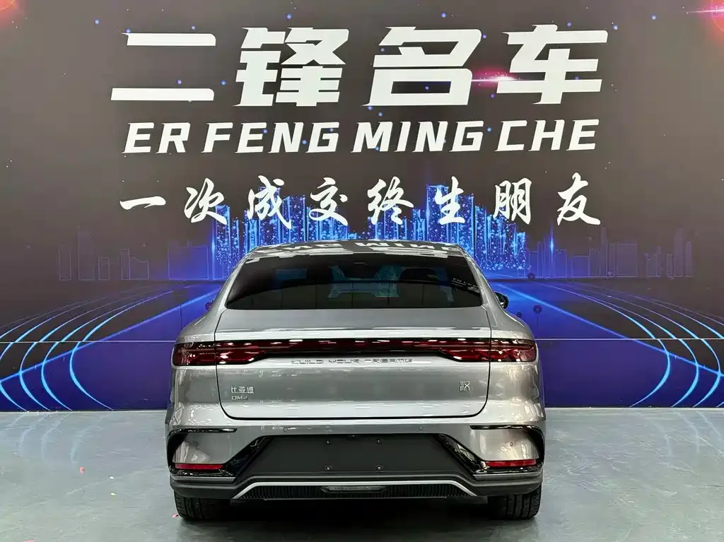 BYD Han — фото 10