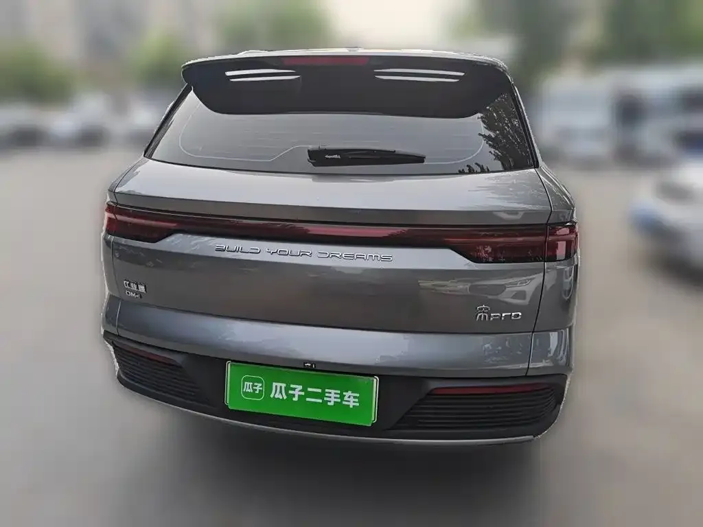BYD Pro New Energy — фото 2