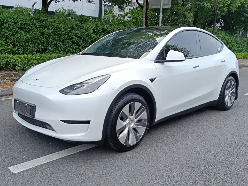 Tesla Model Y — фото 1