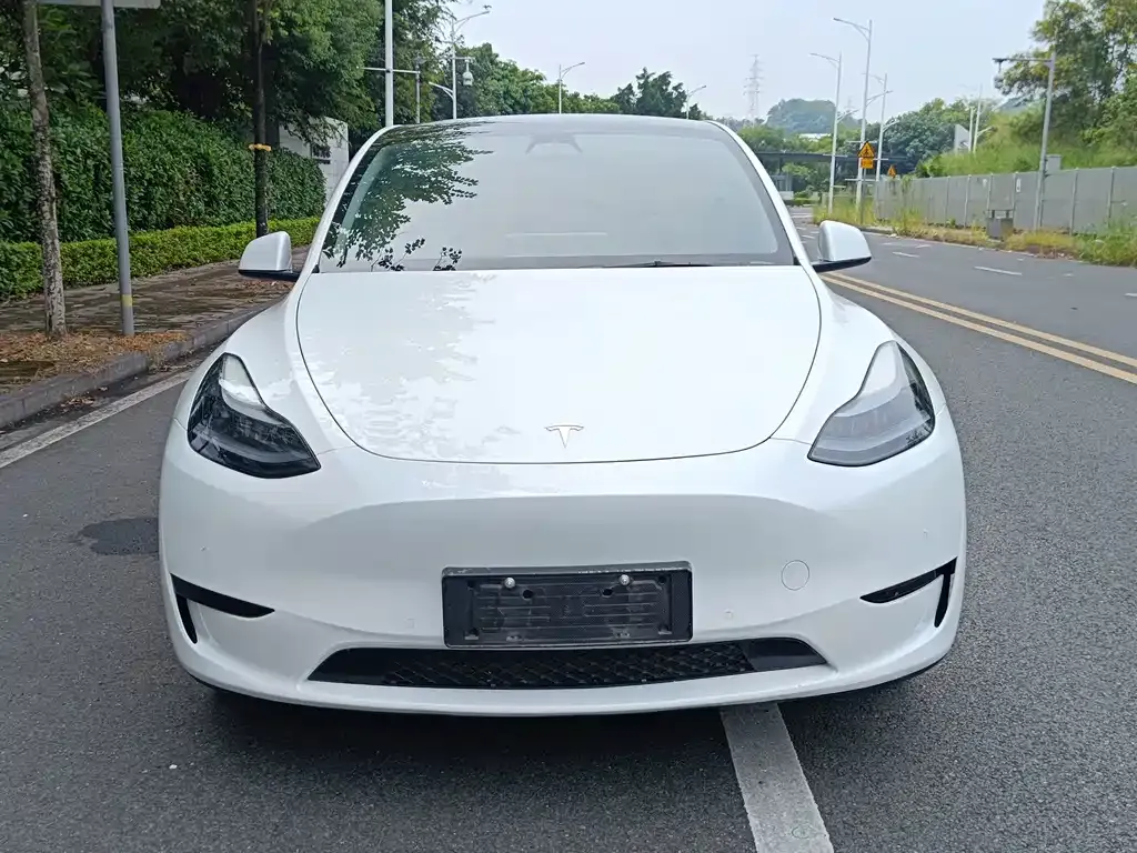 Tesla Model Y — фото 8