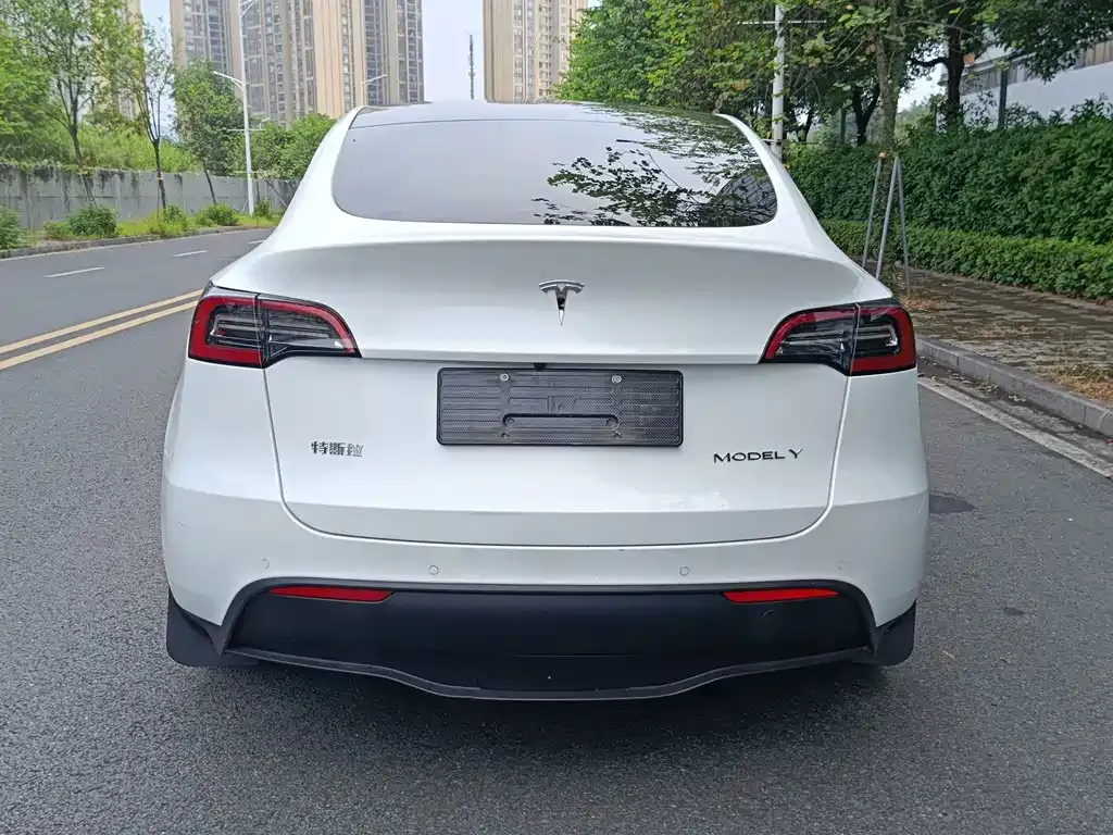Tesla Model Y — фото 6