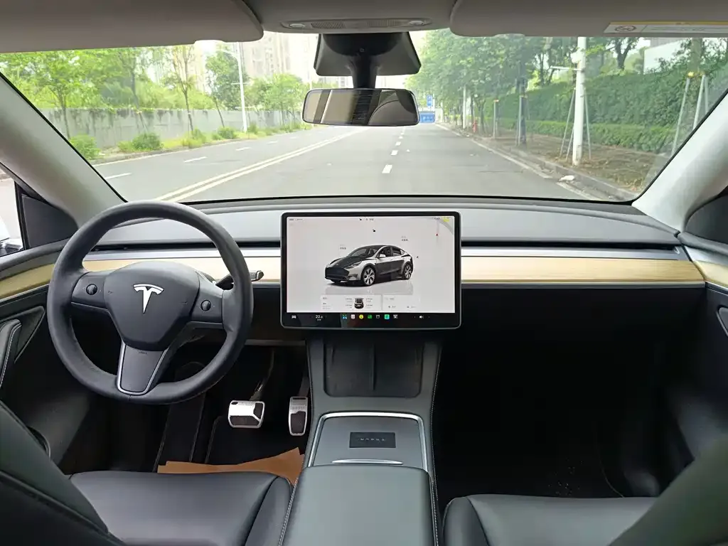 Tesla Model Y — фото 9