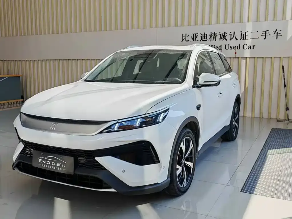 BYD Pro New Energy — фото 1