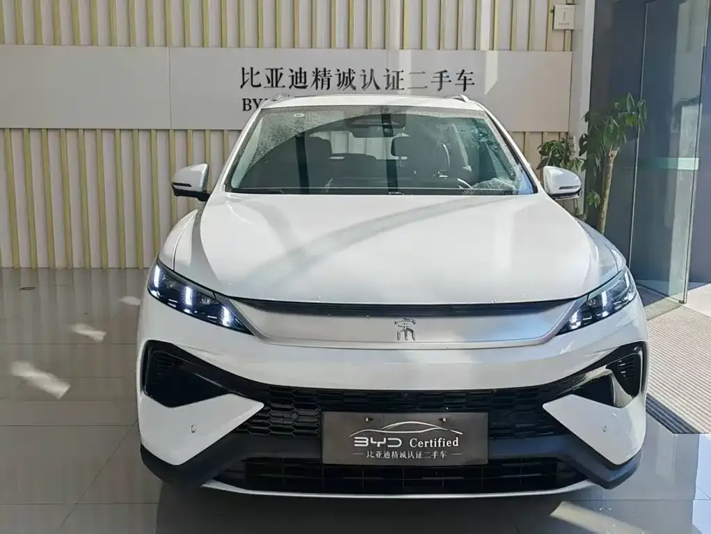 BYD Pro New Energy — фото 3