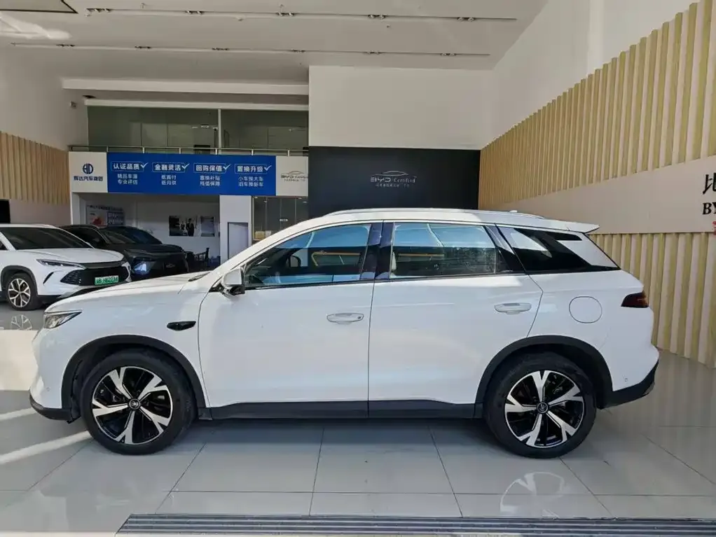 BYD Pro New Energy — фото 4