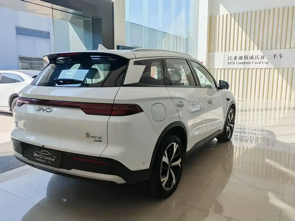 BYD Pro New Energy — фото 9