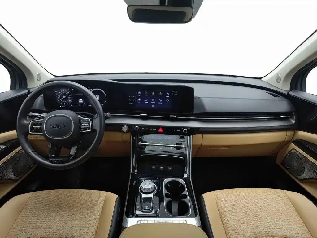 Kia Carnival — фото 10